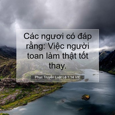 Picture 07 - Phục Truyền Luật Lệ 1:14 VIE - Các ngươi có đáp rằng: Việc người - Bible Verse Picture