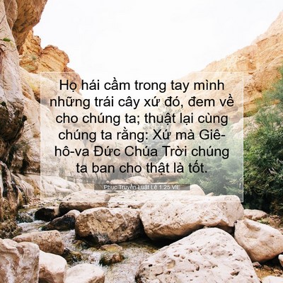 Picture 07 - Phục Truyền Luật Lệ 1:25 VIE - Họ hái cầm trong tay mình những trái - Bible Verse Picture