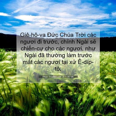 Picture 07 - Phục Truyền Luật Lệ 1:30 VIE - Giê-hô-va Đức Chúa Trời các ngươi đi - Bible Verse Picture