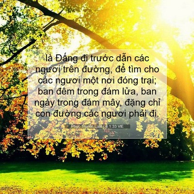 Picture 07 - Phục Truyền Luật Lệ 1:33 VIE - là Đấng đi trước dẫn các ngươi trên - Bible Verse Picture