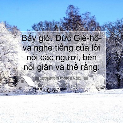 Picture 07 - Phục Truyền Luật Lệ 1:34 VIE - Bấy giờ, Đức Giê-hô-va nghe tiếng - Bible Verse Picture