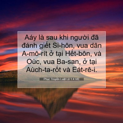 Picture 07 - Phục Truyền Luật Lệ 1:4 VIE - Aáy là sau khi người đã đánh giết - Bible Verse Picture