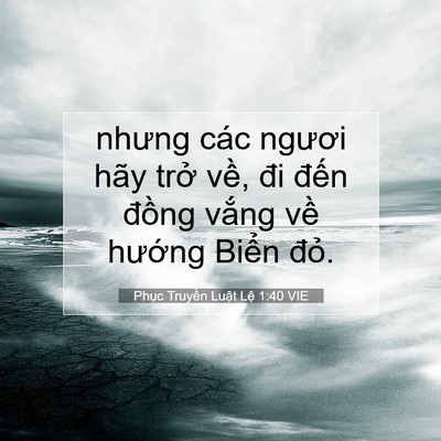 Picture 07 - Phục Truyền Luật Lệ 1:40 VIE - nhưng các ngươi hãy trở về, đi đến - Bible Verse Picture