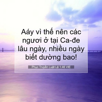 Picture 07 - Phục Truyền Luật Lệ 1:46 VIE - Aáy vì thế nên các ngươi ở tại Ca-đe - Bible Verse Picture