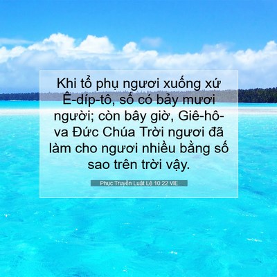 Picture 07 - Phục Truyền Luật Lệ 10:22 VIE - Khi tổ phụ ngươi xuống xứ Ê-díp-tô, - Bible Verse Picture