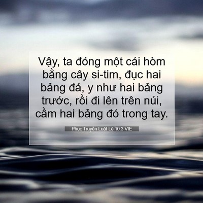Picture 07 - Phục Truyền Luật Lệ 10:3 VIE - Vậy, ta đóng một cái hòm bằng cây - Bible Verse Picture