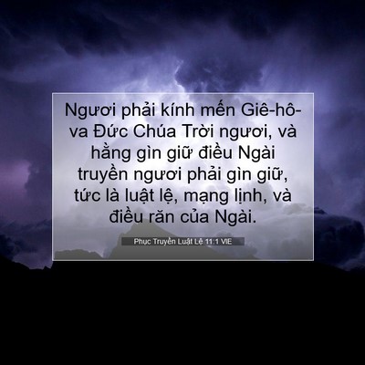 Picture 07 - Phục Truyền Luật Lệ 11:1 VIE - Ngươi phải kính mến Giê-hô-va Đức - Bible Verse Picture
