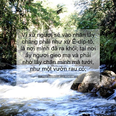 Picture 07 - Phục Truyền Luật Lệ 11:10 VIE - Vì xứ ngươi sẽ vào nhận lấy chẳng - Bible Verse Picture