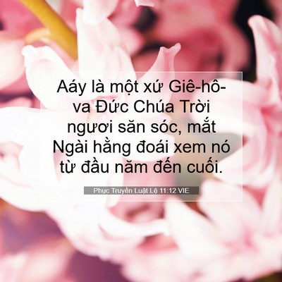 Picture 07 - Phục Truyền Luật Lệ 11:12 VIE - Aáy là một xứ Giê-hô-va Đức Chúa - Bible Verse Picture