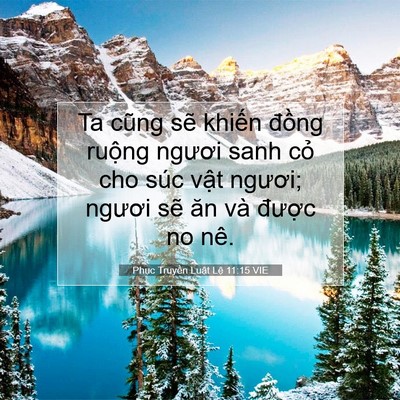 Picture 07 - Phục Truyền Luật Lệ 11:15 VIE - Ta cũng sẽ khiến đồng ruộng ngươi - Bible Verse Picture