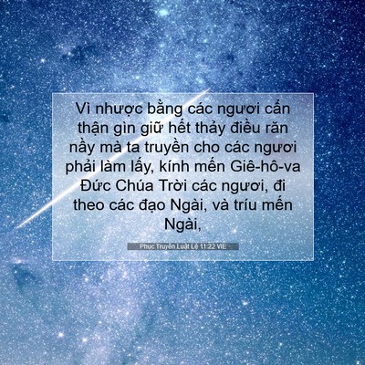 Picture 07 - Phục Truyền Luật Lệ 11:22 VIE - Vì nhược bằng các ngươi cẩn thận - Bible Verse Picture