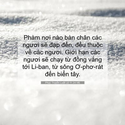 Picture 07 - Phục Truyền Luật Lệ 11:24 VIE - Phàm nơi nào bàn chân các ngươi sẽ - Bible Verse Picture