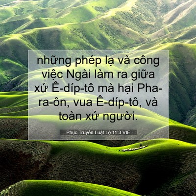 Picture 07 - Phục Truyền Luật Lệ 11:3 VIE - những phép lạ và công việc Ngài làm ra - Bible Verse Picture