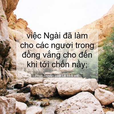 Picture 07 - Phục Truyền Luật Lệ 11:5 VIE - việc Ngài đã làm cho các ngươi trong - Bible Verse Picture