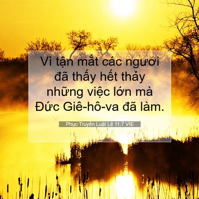 Picture 07 - Phục Truyền Luật Lệ 11:7 VIE - Vì tận mắt các ngươi đã thấy hết - Bible Verse Picture