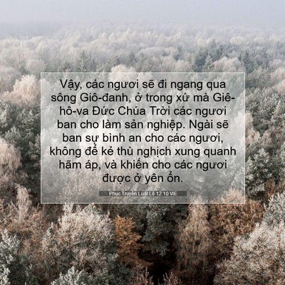 Picture 07 - Phục Truyền Luật Lệ 12:10 VIE - Vậy, các ngươi sẽ đi ngang qua sông - Bible Verse Picture