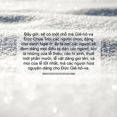 Picture 07 - Phục Truyền Luật Lệ 12:11 VIE - Bấy giờ, sẽ có một chỗ mà Giê-hô-va - Bible Verse Picture