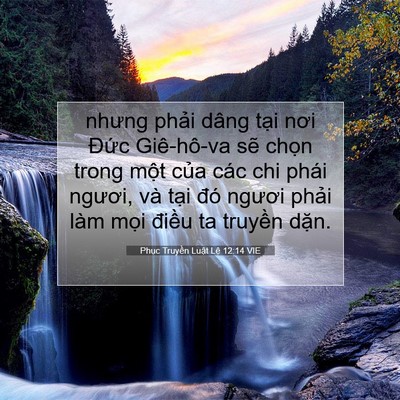 Picture 07 - Phục Truyền Luật Lệ 12:14 VIE - nhưng phải dâng tại nơi Đức Giê-hô-va - Bible Verse Picture