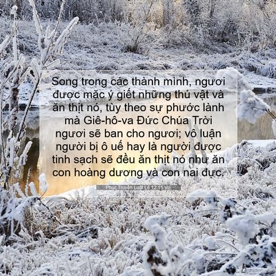Picture 07 - Phục Truyền Luật Lệ 12:15 VIE - Song trong các thành mình, ngươi được - Bible Verse Picture