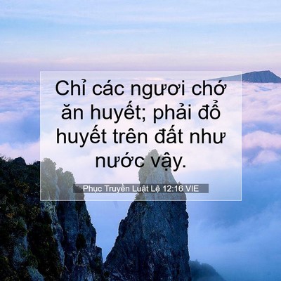 Picture 07 - Phục Truyền Luật Lệ 12:16 VIE - Chỉ các ngươi chớ ăn huyết; phải - Bible Verse Picture
