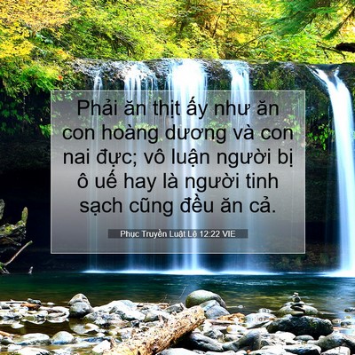 Picture 07 - Phục Truyền Luật Lệ 12:22 VIE - Phải ăn thịt ấy như ăn con hoàng - Bible Verse Picture