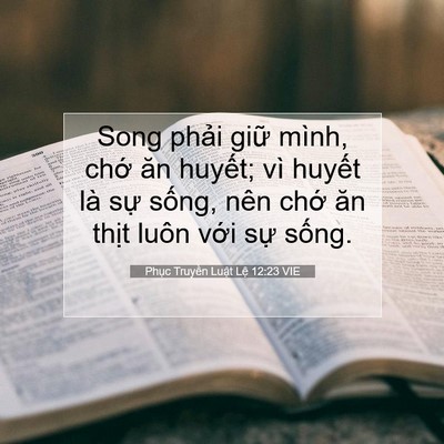 Picture 07 - Phục Truyền Luật Lệ 12:23 VIE - Song phải giữ mình, chớ ăn huyết; vì - Bible Verse Picture