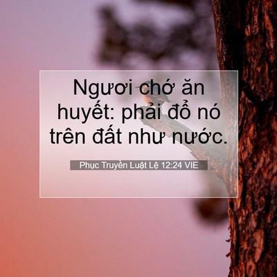Picture 07 - Phục Truyền Luật Lệ 12:24 VIE - Ngươi chớ ăn huyết: phải đổ nó trên - Bible Verse Picture