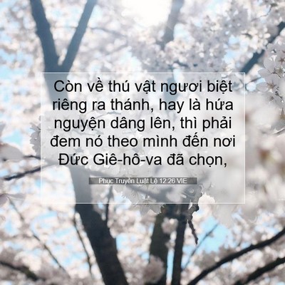 Picture 07 - Phục Truyền Luật Lệ 12:26 VIE - Còn về thú vật ngươi biệt riêng ra - Bible Verse Picture