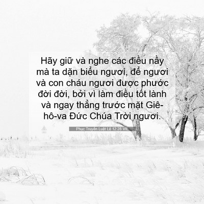 Picture 07 - Phục Truyền Luật Lệ 12:28 VIE - Hãy giữ và nghe các điều nầy mà ta - Bible Verse Picture