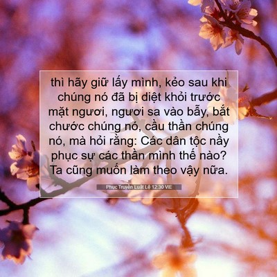 Picture 07 - Phục Truyền Luật Lệ 12:30 VIE - thì hãy giữ lấy mình, kẻo sau khi chúng - Bible Verse Picture
