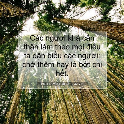 Picture 07 - Phục Truyền Luật Lệ 12:32 VIE - Các ngươi khá cẩn thận làm theo mọi - Bible Verse Picture