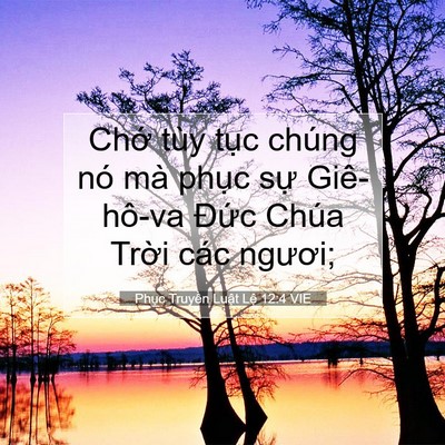 Picture 07 - Phục Truyền Luật Lệ 12:4 VIE - Chớ tùy tục chúng nó mà phục sự - Bible Verse Picture