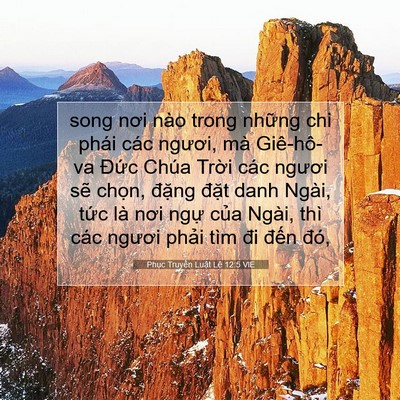 Picture 07 - Phục Truyền Luật Lệ 12:5 VIE - song nơi nào trong những chi phái các - Bible Verse Picture