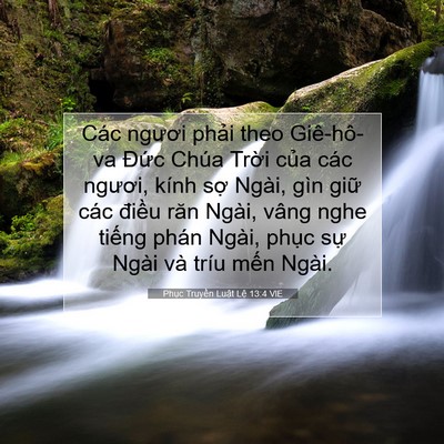Picture 07 - Phục Truyền Luật Lệ 13:4 VIE - Các ngươi phải theo Giê-hô-va Đức Chúa - Bible Verse Picture