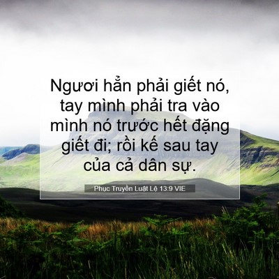 Picture 07 - Phục Truyền Luật Lệ 13:9 VIE - Ngươi hẳn phải giết nó, tay mình phải - Bible Verse Picture