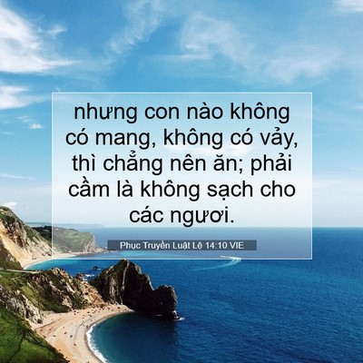 Picture 07 - Phục Truyền Luật Lệ 14:10 VIE - nhưng con nào không có mang, không có - Bible Verse Picture