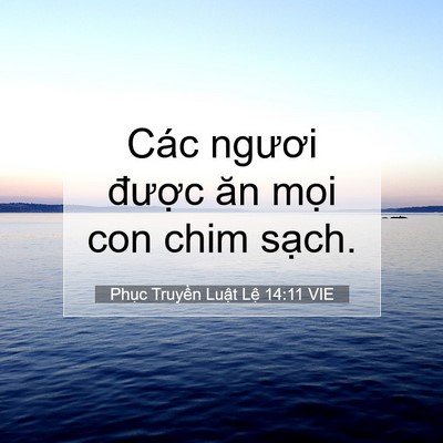 Picture 07 - Phục Truyền Luật Lệ 14:11 VIE - Các ngươi được ăn mọi con chim - Bible Verse Picture