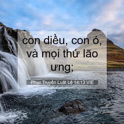 Picture 07 - Phục Truyền Luật Lệ 14:13 VIE - con diều, con ó, và mọi thứ lão - Bible Verse Picture