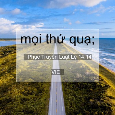 Picture 07 - Phục Truyền Luật Lệ 14:14 VIE - mọi thứ - Bible Verse Picture