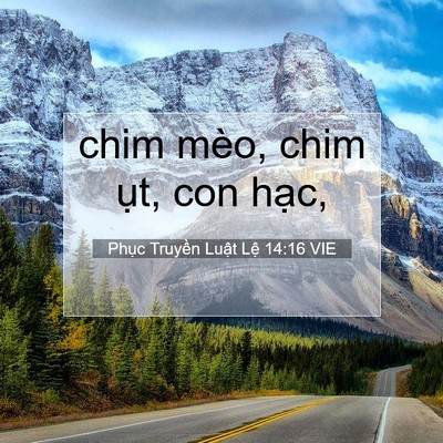 Picture 07 - Phục Truyền Luật Lệ 14:16 VIE - chim mèo, chim ụt, con - Bible Verse Picture