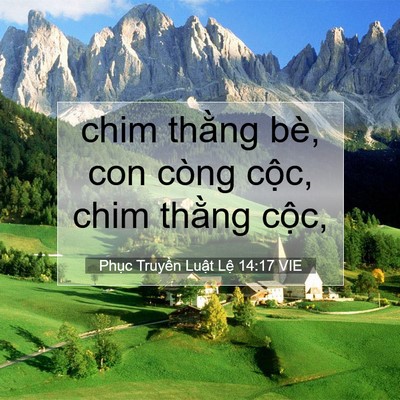 Picture 07 - Phục Truyền Luật Lệ 14:17 VIE - chim thằng bè, con còng cộc, chim thằng - Bible Verse Picture