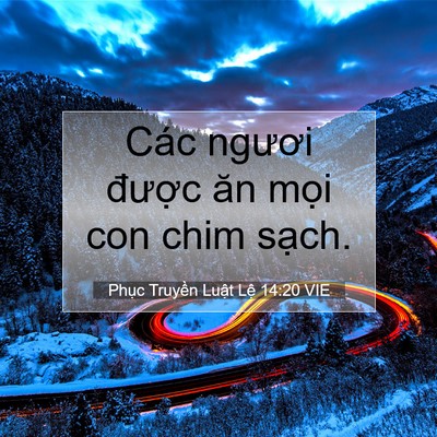 Picture 07 - Phục Truyền Luật Lệ 14:20 VIE - Các ngươi được ăn mọi con chim - Bible Verse Picture