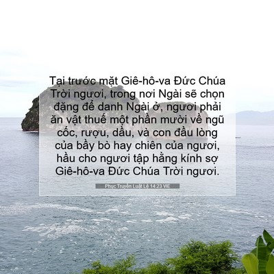 Picture 07 - Phục Truyền Luật Lệ 14:23 VIE - Tại trước mặt Giê-hô-va Đức Chúa - Bible Verse Picture