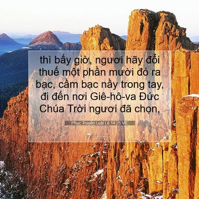 Picture 07 - Phục Truyền Luật Lệ 14:25 VIE - thì bấy giờ, ngươi hãy đổi thuế - Bible Verse Picture