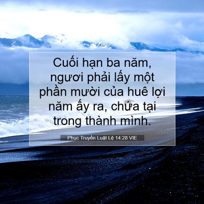 Picture 07 - Phục Truyền Luật Lệ 14:28 VIE - Cuối hạn ba năm, ngươi phải lấy một - Bible Verse Picture