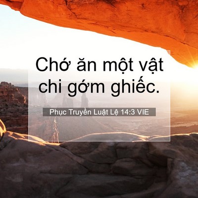 Picture 07 - Phục Truyền Luật Lệ 14:3 VIE - Chớ ăn một vật chi gớm - Bible Verse Picture