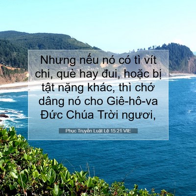 Picture 07 - Phục Truyền Luật Lệ 15:21 VIE - Nhưng nếu nó có tì vít chi, què hay đui, - Bible Verse Picture