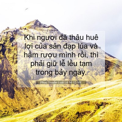 Picture 07 - Phục Truyền Luật Lệ 16:13 VIE - Khi ngươi đã thâu huê lợi của sân - Bible Verse Picture