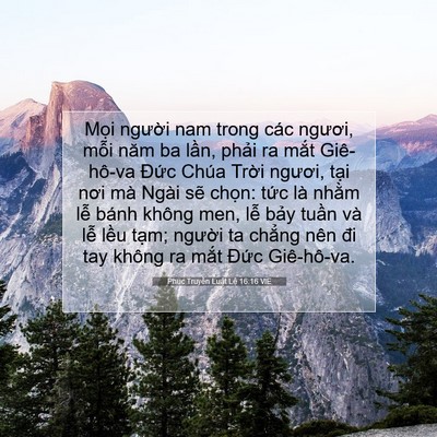 Picture 07 - Phục Truyền Luật Lệ 16:16 VIE - Mọi người nam trong các ngươi, mỗi năm - Bible Verse Picture