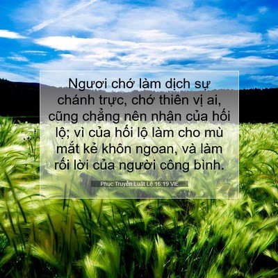 Picture 07 - Phục Truyền Luật Lệ 16:19 VIE - Ngươi chớ làm dịch sự chánh trực, - Bible Verse Picture
